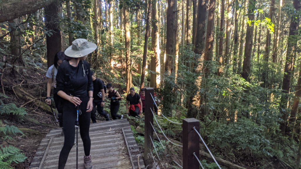 加里山步道_1512800