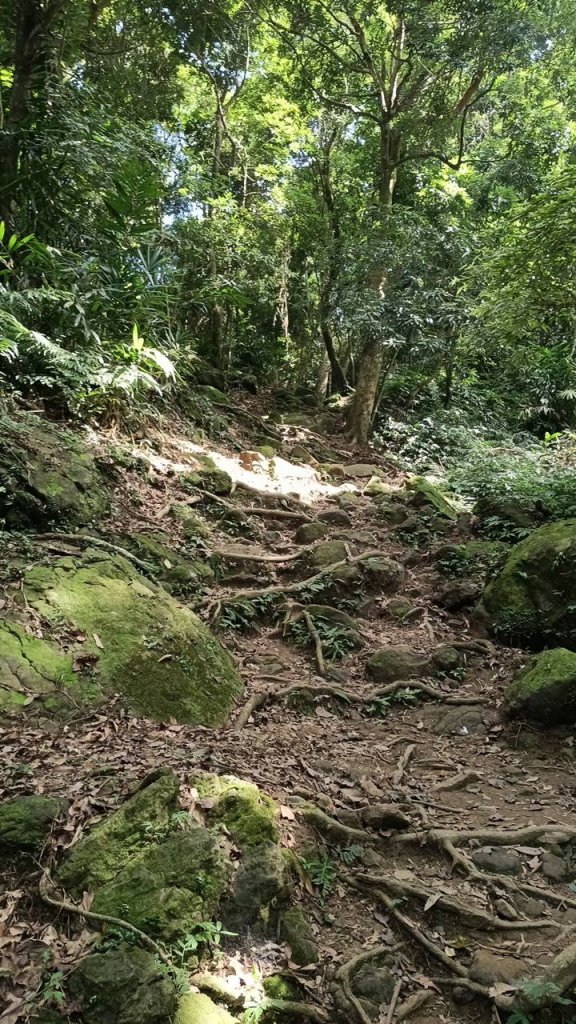 20251004 馬那邦山 - 珠湖 登山口_2904929