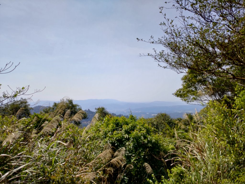 石門山好漢坡-小粗坑-小竹坑古道_1279056