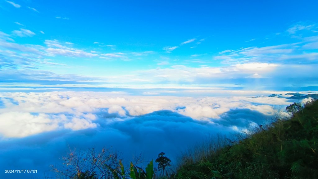 阿里山 #隙頂二延平 #頂石棹 #觀音圈 #雲海 #琉璃光 #雲瀑 #霧虹 11/17_2649743
