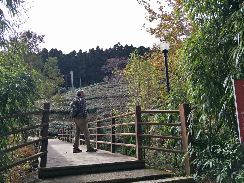 2019 01 04 鵝公髻山步道_497772