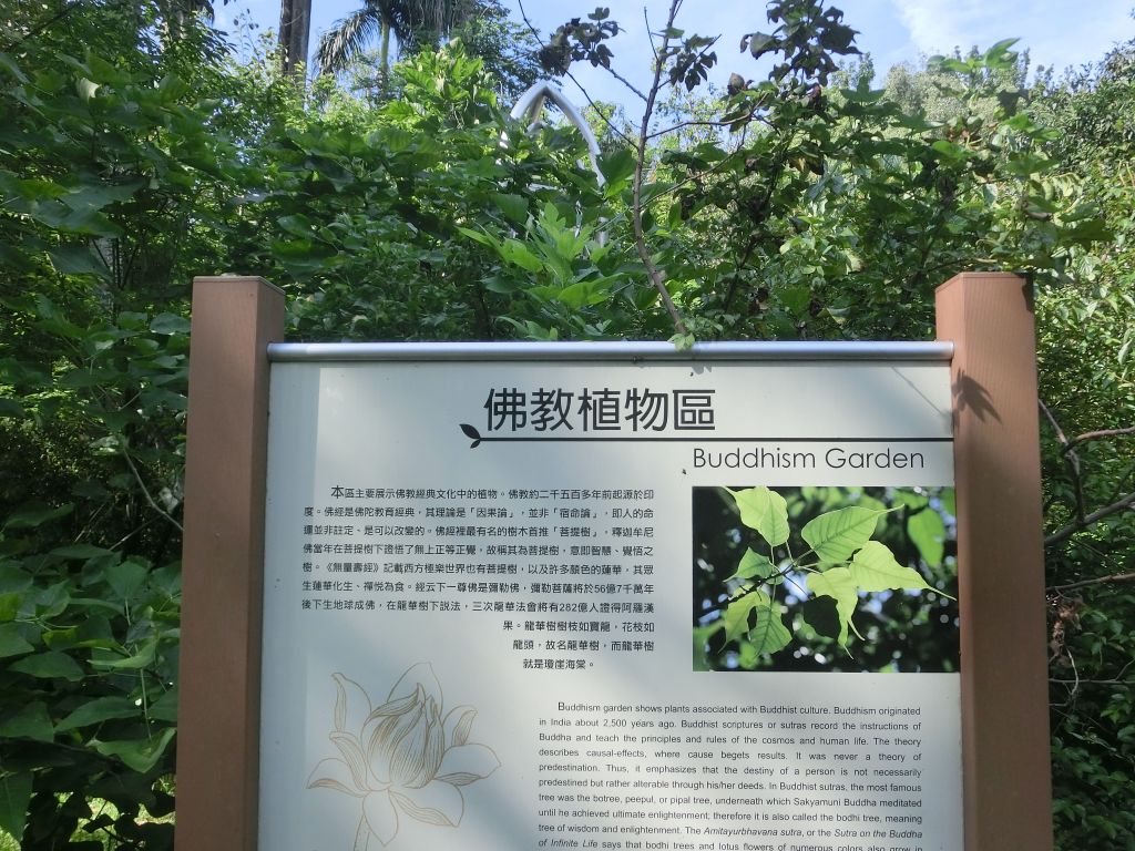 臺北植物園_356121
