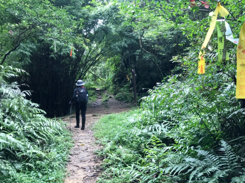 崩山坑古道環走中坑古道_632792