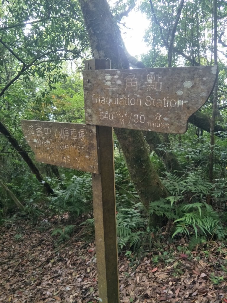 東眼山自導式步道_1714396