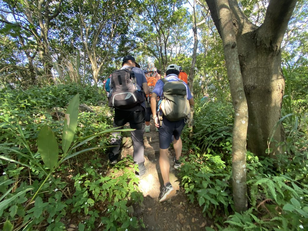 《踏青北投｜捷運唭哩岸到新北投・串走奇岩山、軍艦岩、幸福石》_2979013