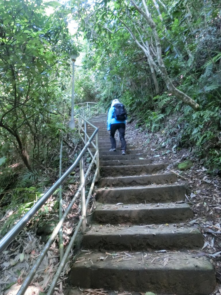 康樂山．明舉山．風化紋岩壁_452690