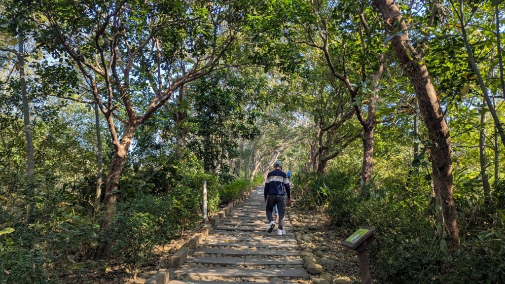 竹坑南寮登山步道_2719386