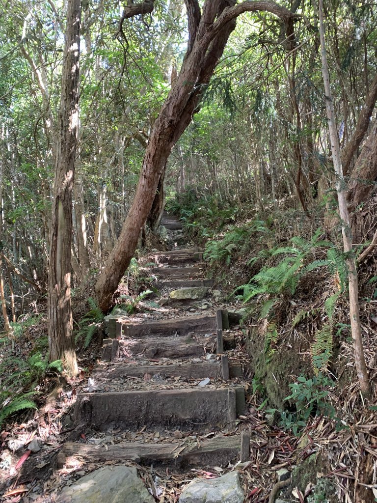 20251018台中八仙山_2921440