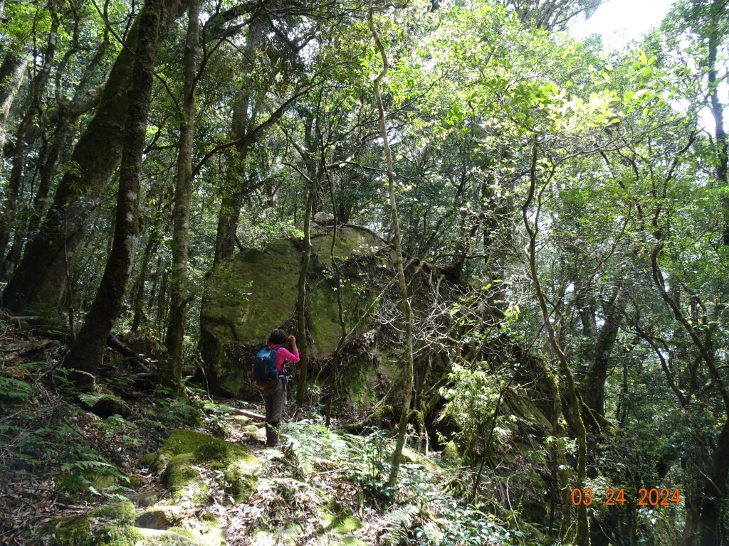 伊利雅娜產道（一般車停車處步行單程約5K產道）至登山口轉接山徑登北霞山往返_2461251