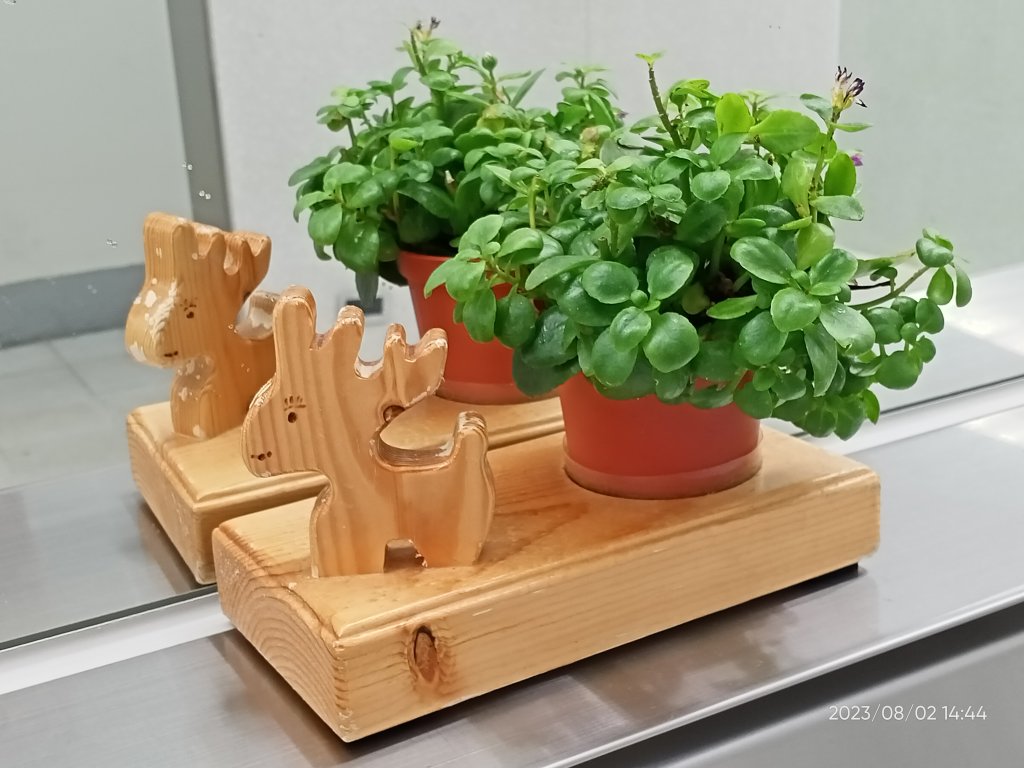 師大本部、中正紀念堂【健康大穀東、走路趣尋寶】_2238111