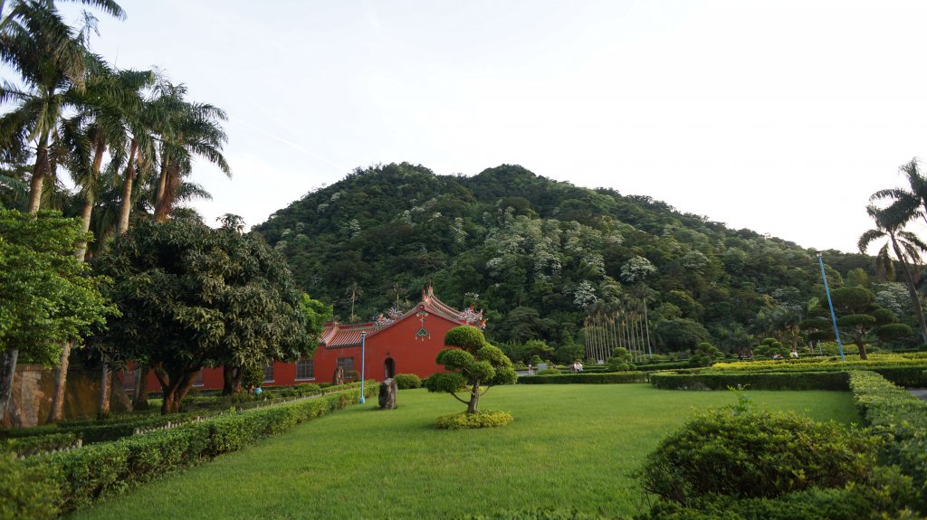 白雞山連走之花_574085