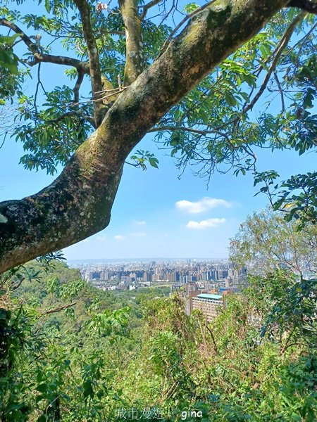 【台中北屯】搭公車趣爬山。 #42 小百岳南觀音山步道_2601639