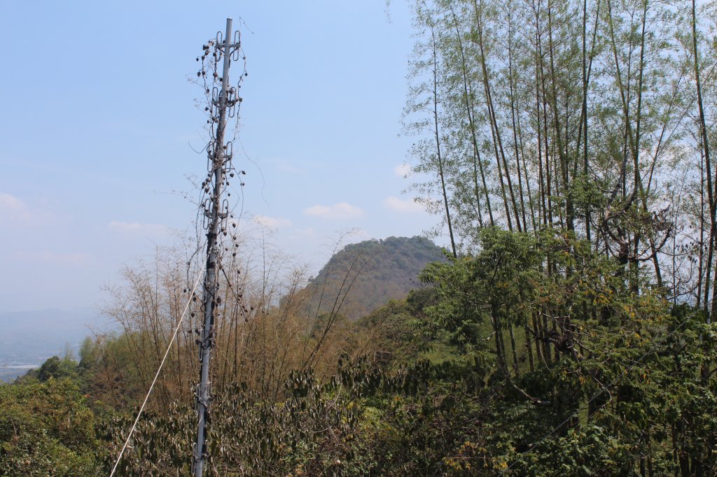 20230429高雄月茶縱走_2138492