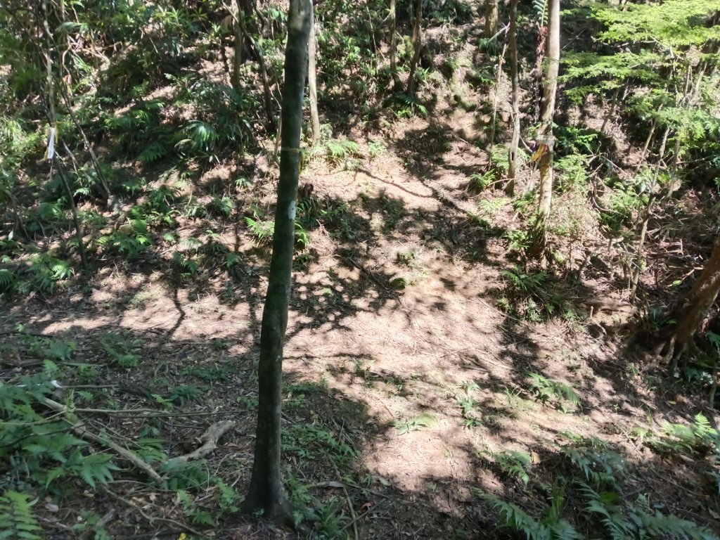 平溪區平湖尖+南山坪山+司公碗帽山+和尚尖O型_2810815