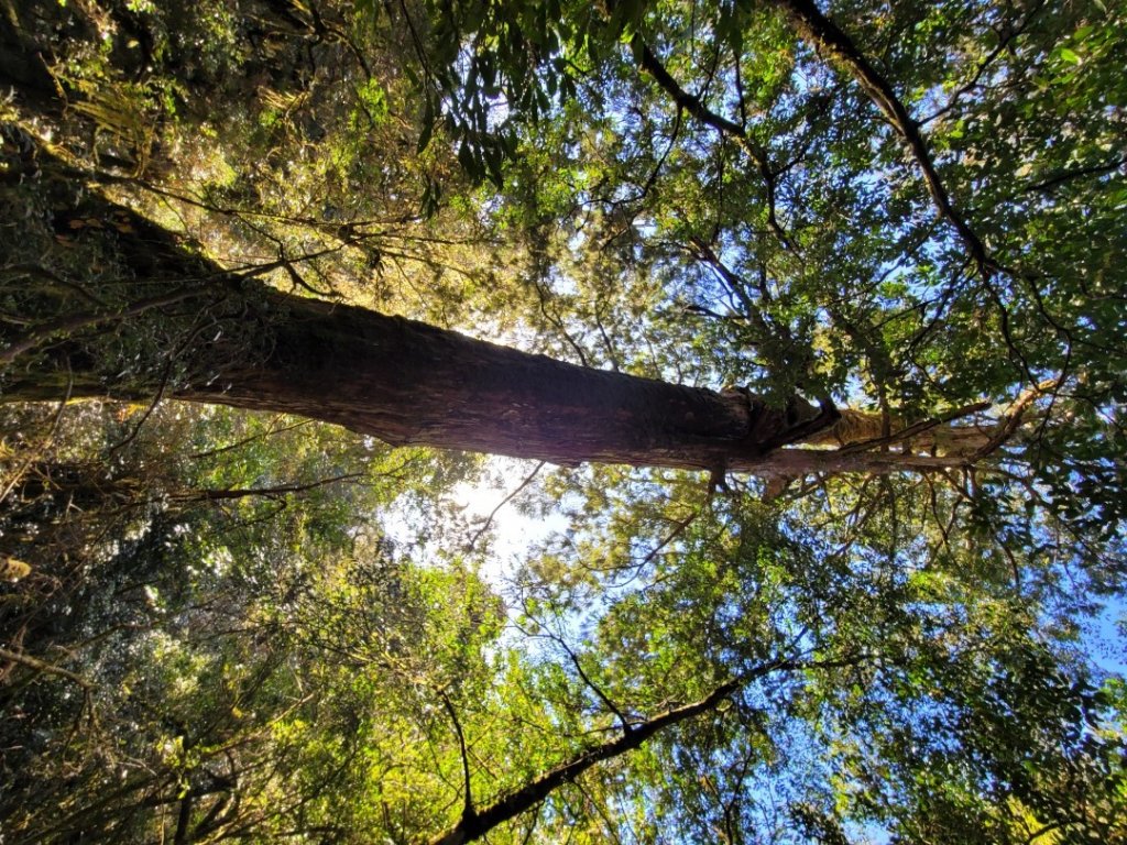 20230219 塔魔巴_2037344