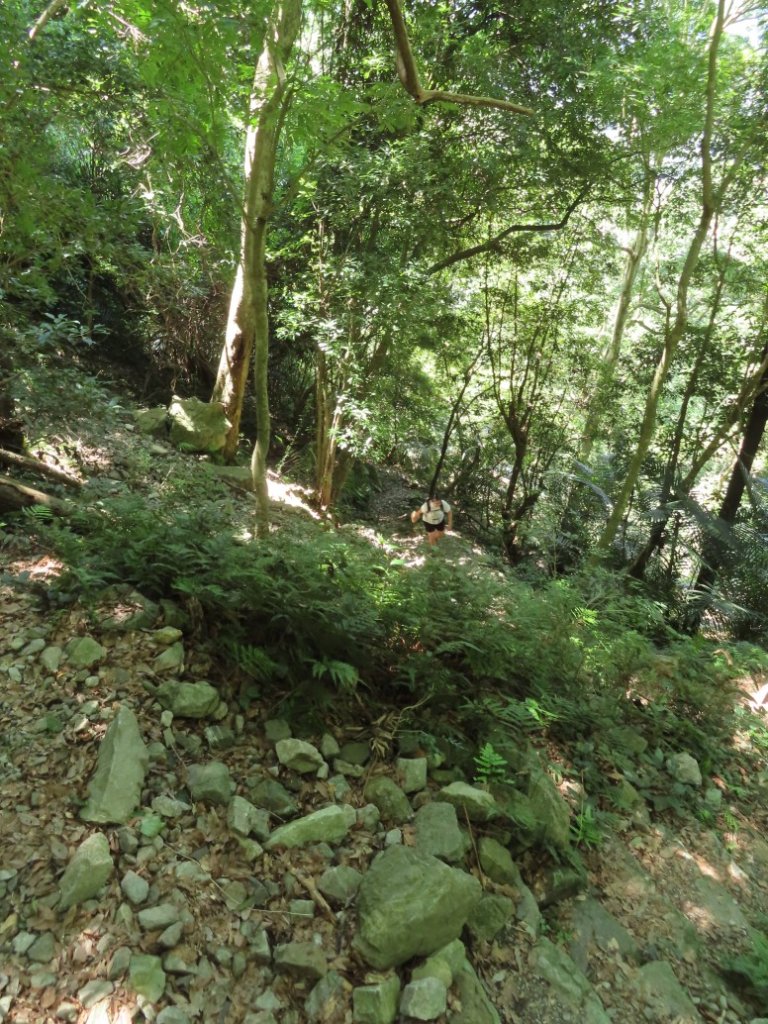 德芙蘭生態步道O形_2829444
