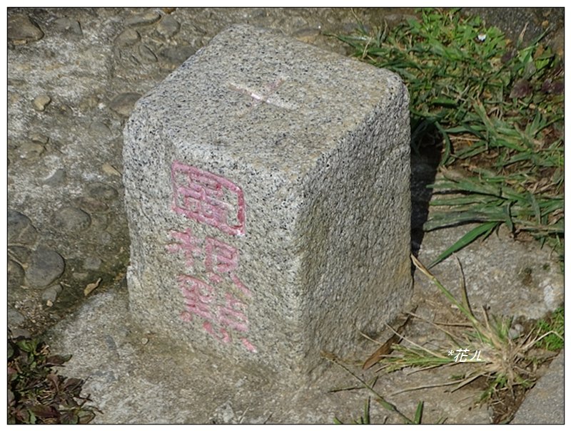 大棟山/芒花(小百岳)_752388