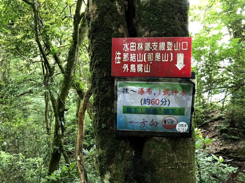 內鳥嘴山北得拉曼20200531_1965239