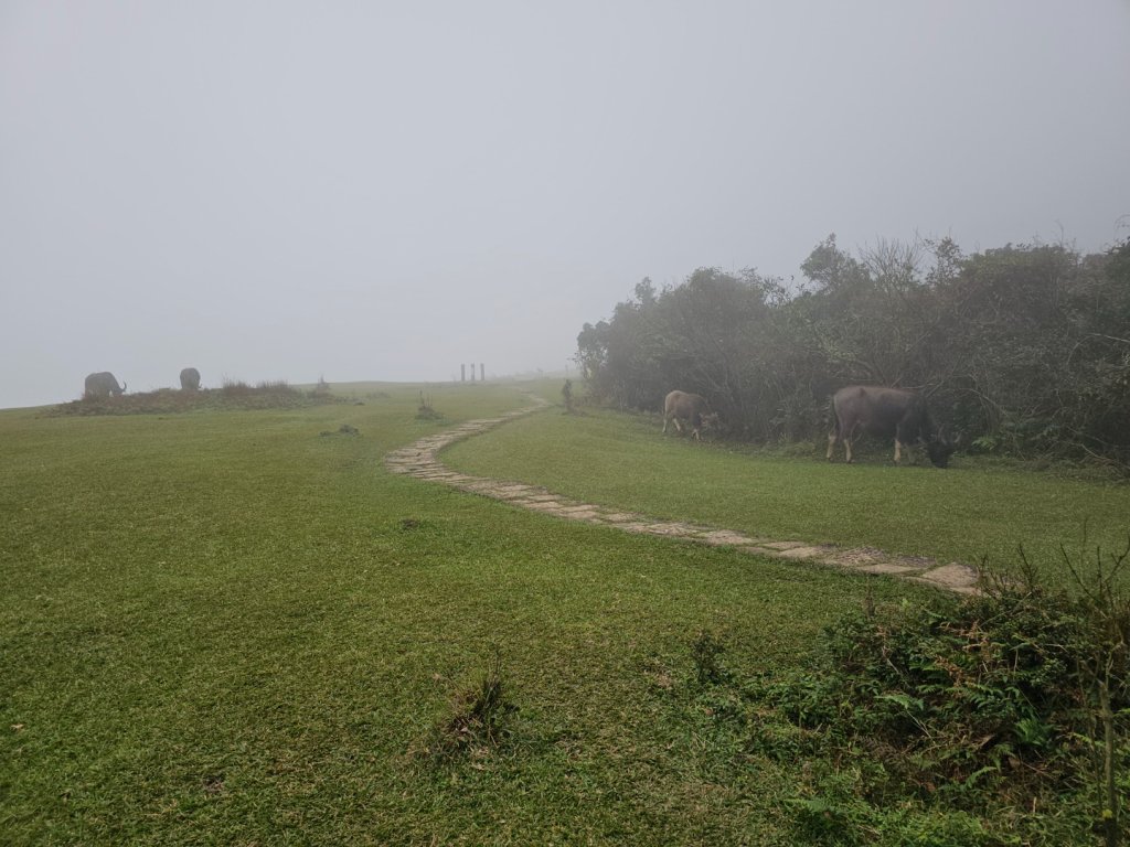 2025臺北大縱走第三段：小油坑至風櫃口_2973466