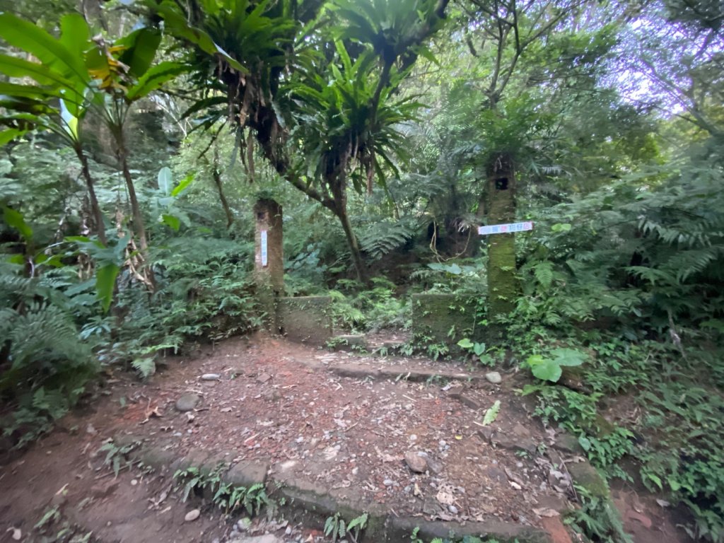 桃園大溪-打鐵寮古道-白石山_2612634