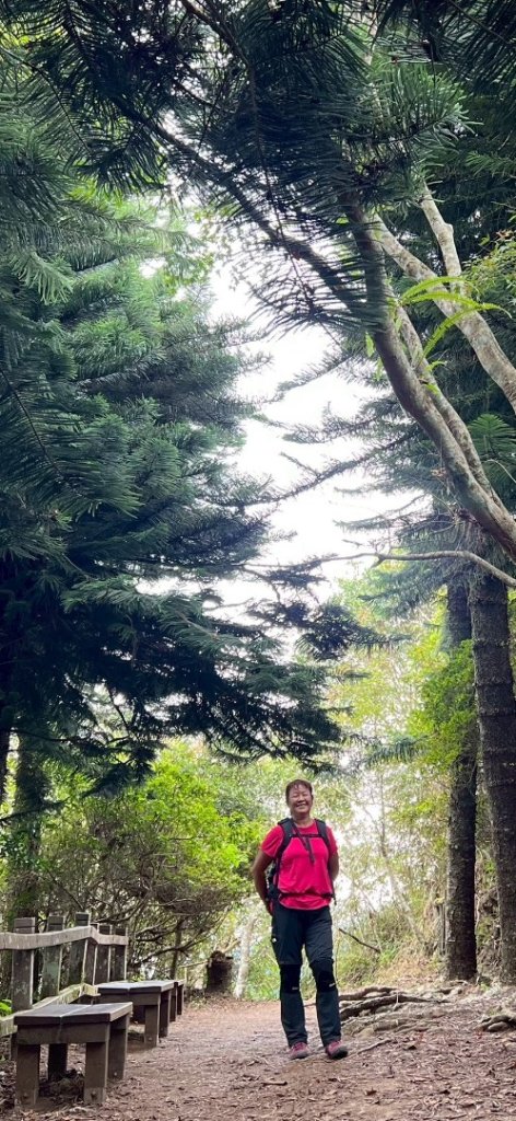 馬那邦山（珠湖登山口）_2934015