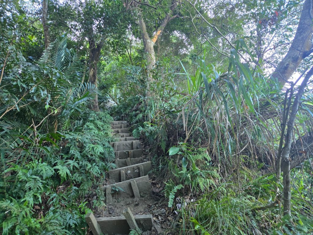 水雲三星～上島山（鳥嘴山）_2931224