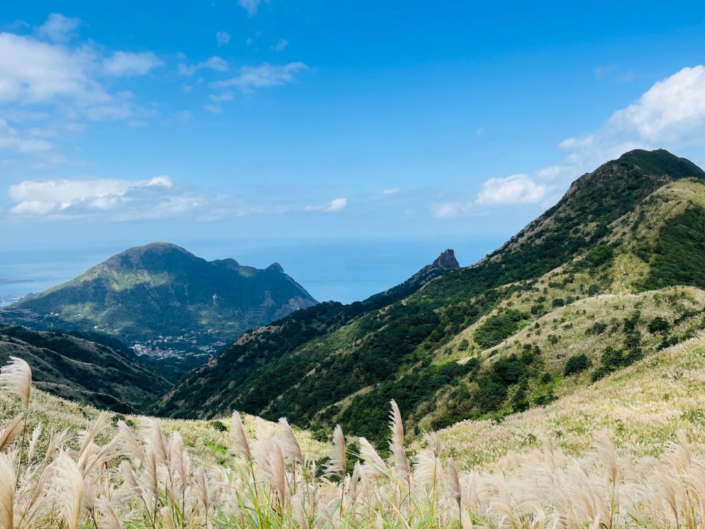 半屏山封面圖