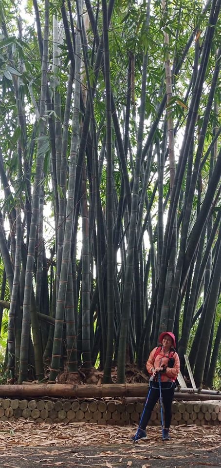 109.04.05 內湖 老鷹尖_905723