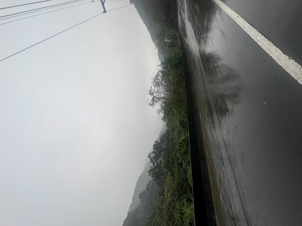 2024草嶺古道芒花季草嶺古道_2644786