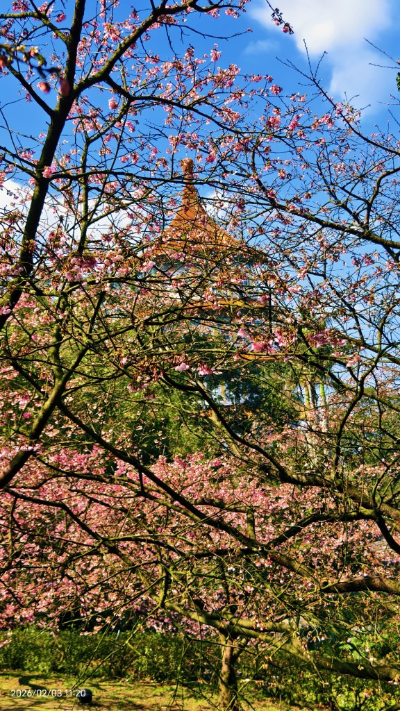 天元宮了嗎？2/3&10_2992653