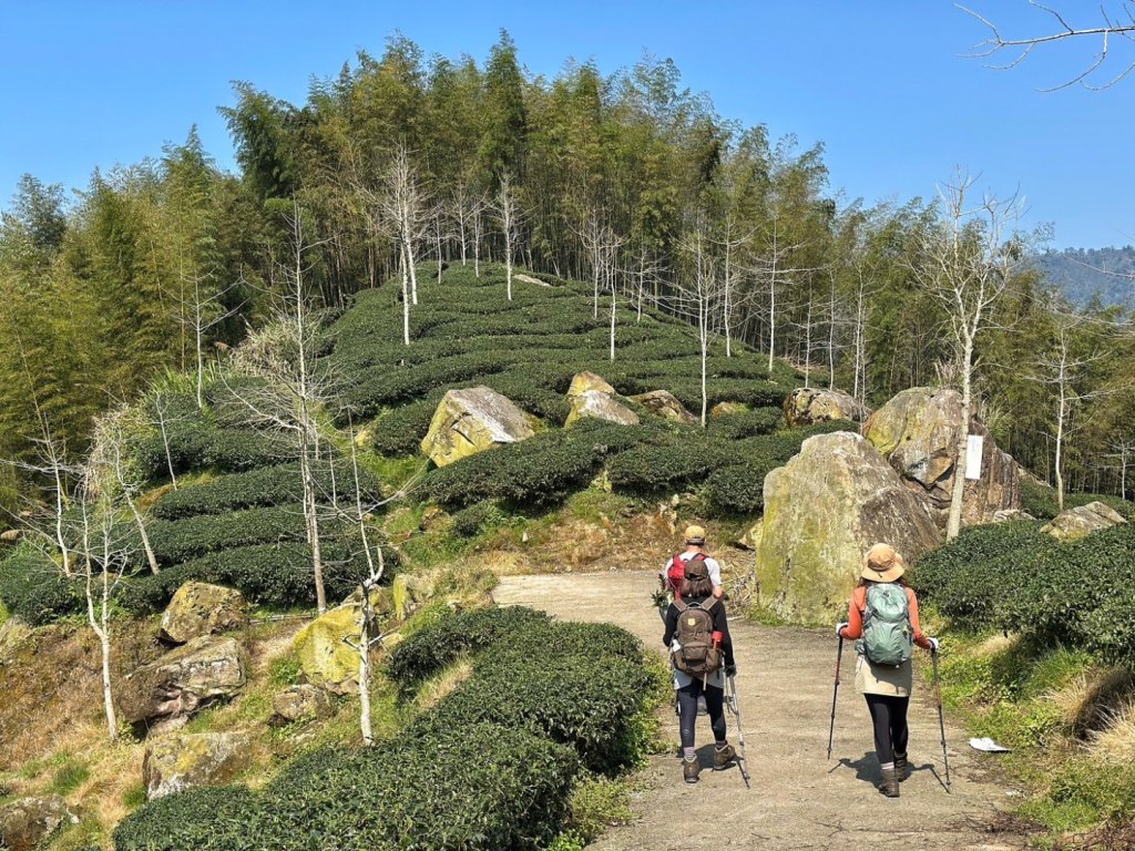 溪頭六連峰O繞_2741709