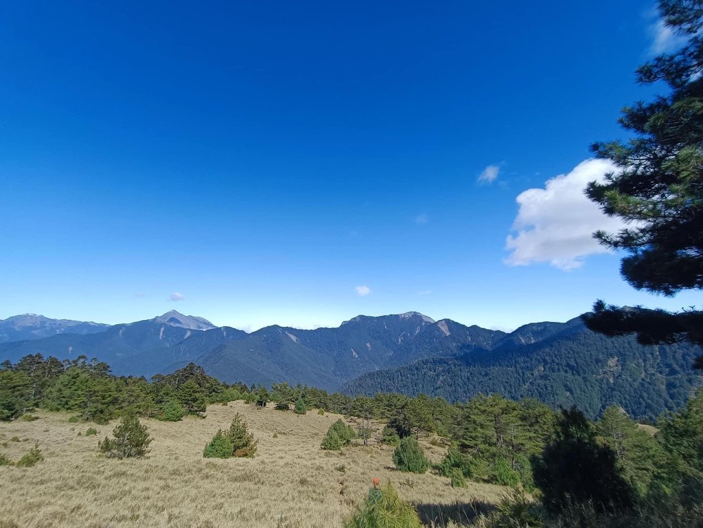 北二I型缺羊頭_2421918