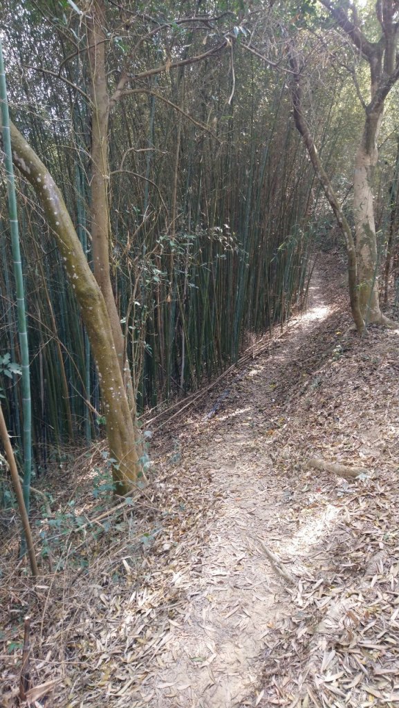 八通關古道社寮段_1276472