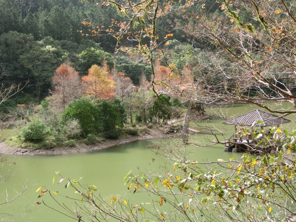 棲蘭山莊．神木園．明池_93608