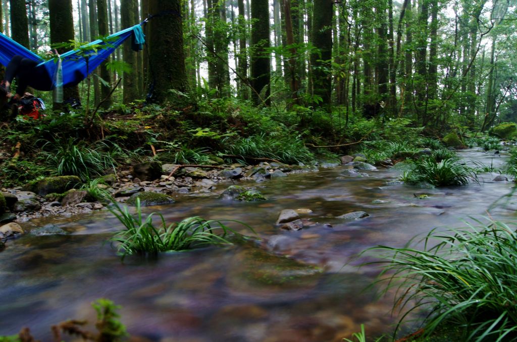 20180903水田林道登那結山_398364