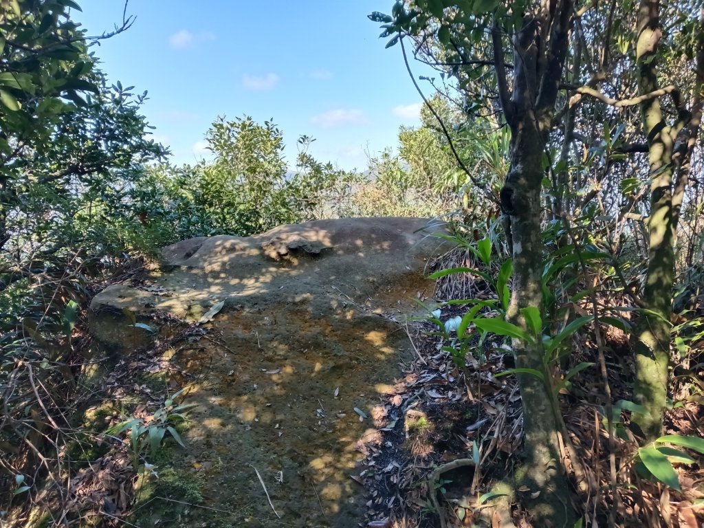 基隆市界寮縱走之七分寮山+友蚋山+印地安頭像+七汐農路O型_2967987