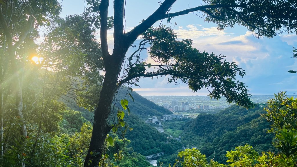 抹茶山_2878070