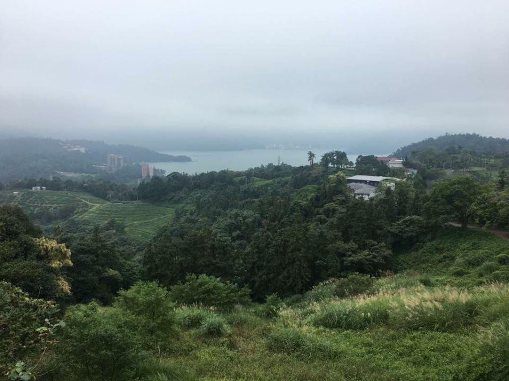 貓囒山步道_304013