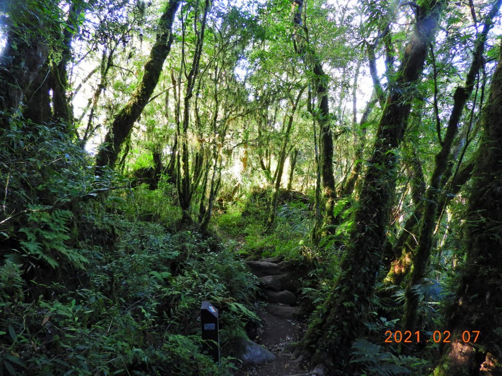 臺東 東河 都蘭山_1262037