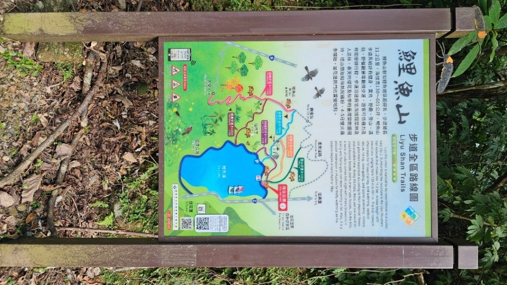 【爬山會爬上癮】五刷小百岳#089鯉魚山。_2824755