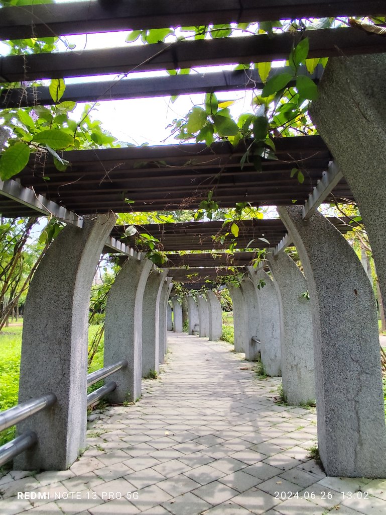 大安森林公園【走路趣尋寶】【臺北健走趣】_2536201