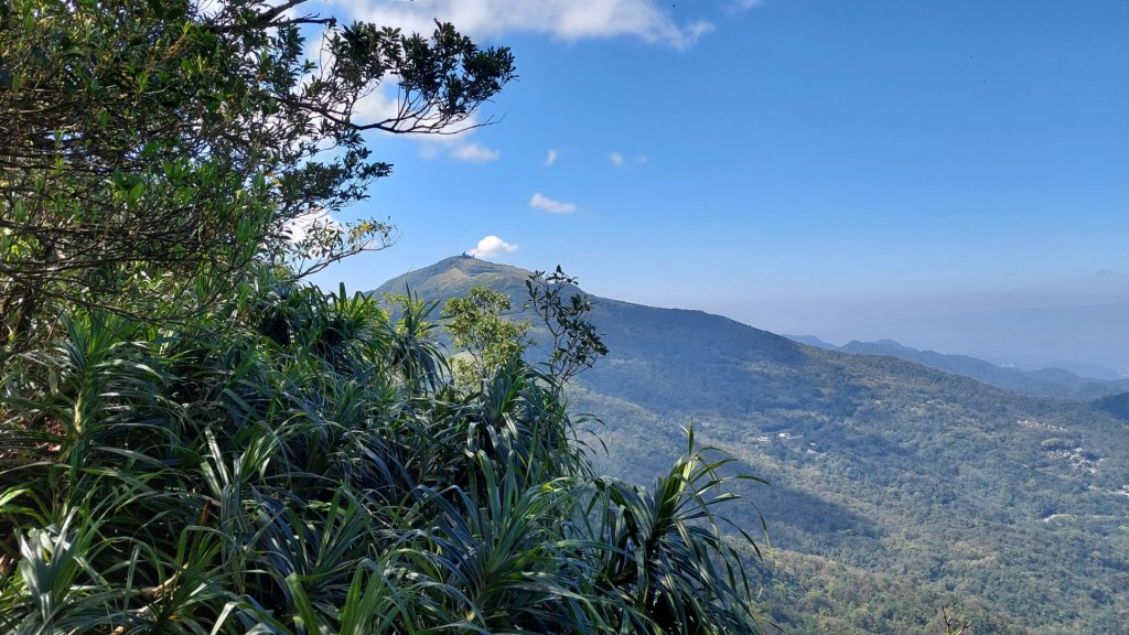蛇來運轉之蛇年爬蛇山  蛇子形古道-三爪子坑山-蛇子崙山O型_2783977
