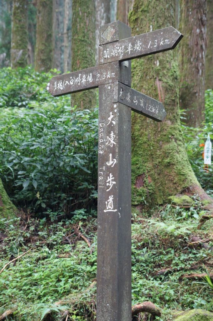 2017-9-22嘉義大凍山_221940