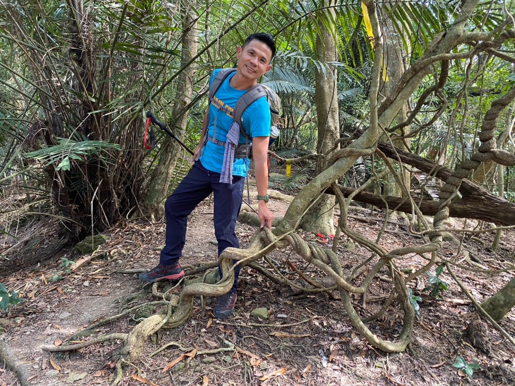 六龜美輪山【享受簡單純粹的登山樂趣】_2415546