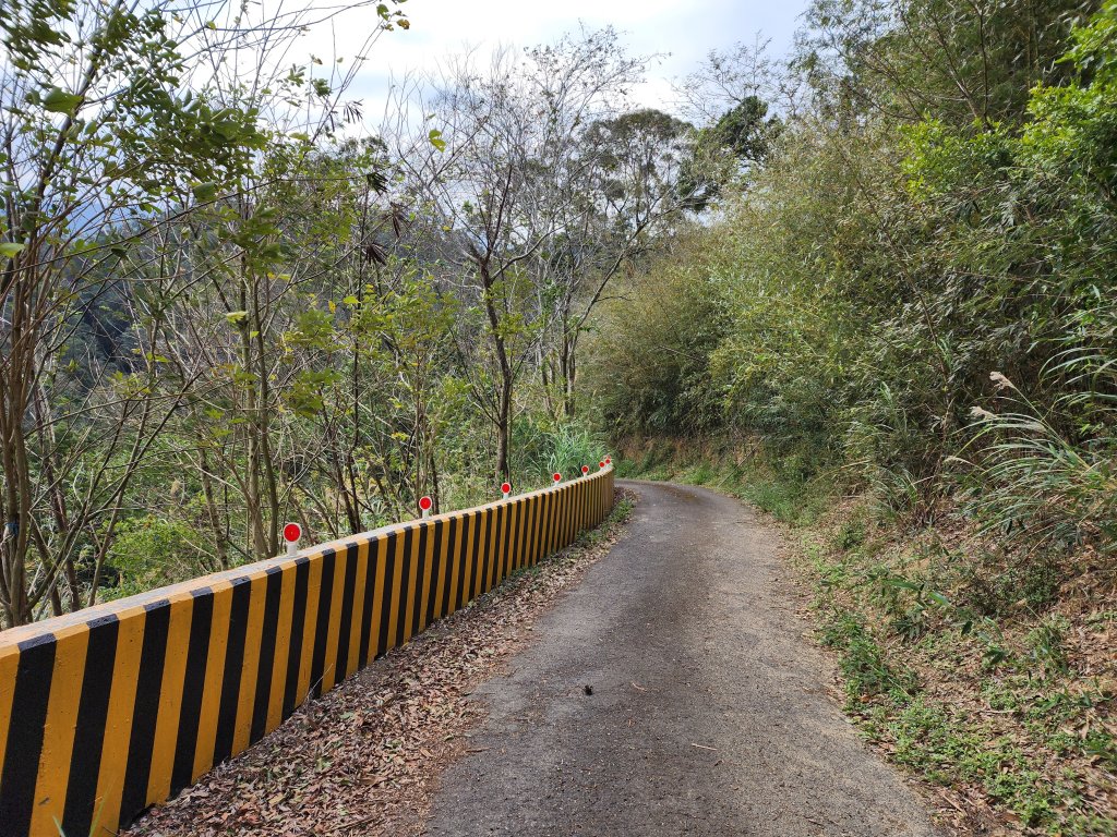 20230128山塘背步道與大坪山_2032183