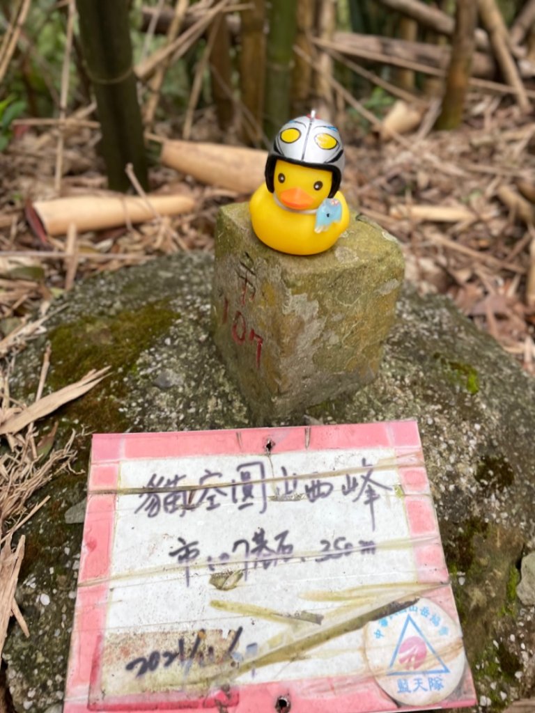 銀河洞越嶺貓空-新高麗坑山-銀獅縱走-猴山岳群峰+三條魚縱走_2699519