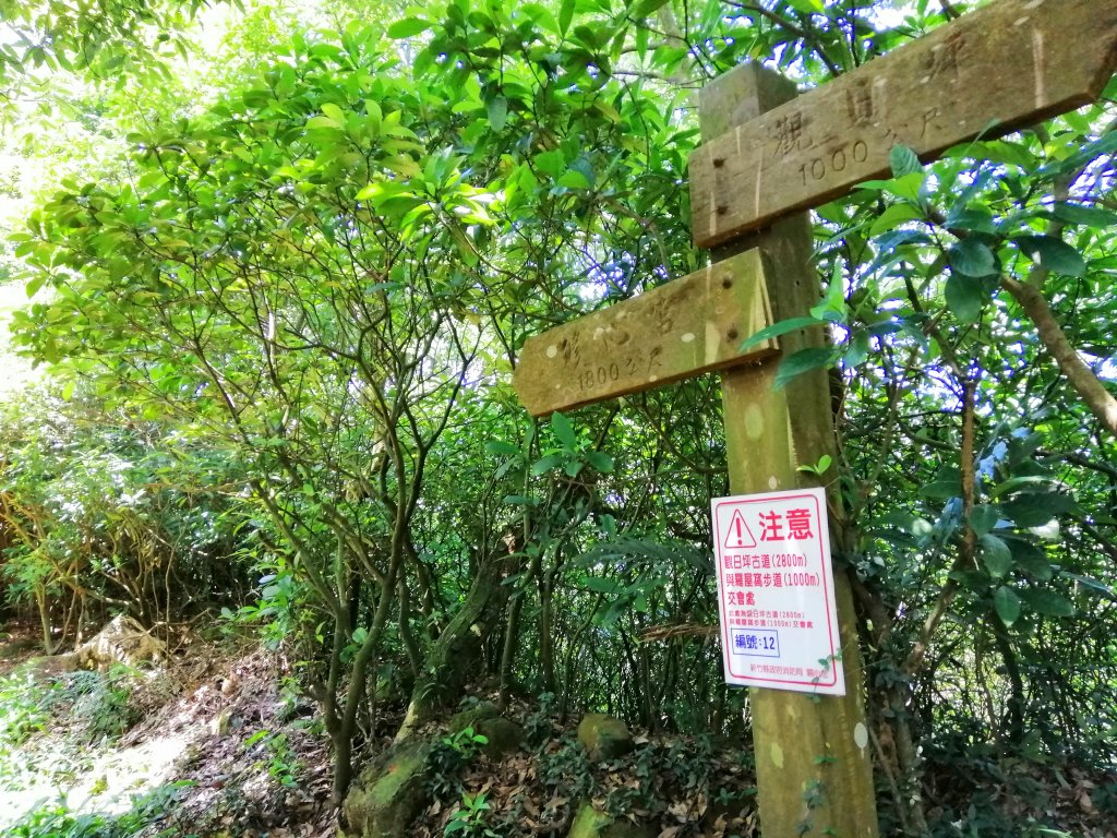 新竹縣八景之一#27小百岳中坑山飛鳳山_735711