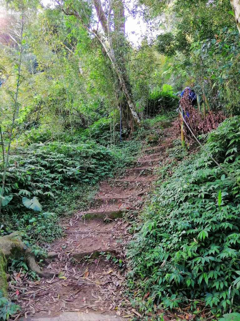 徜遊山林#36小百岳~關刀山x出關古道_762770