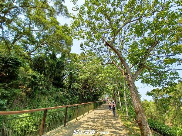 【台中外埔】高鐵觀景台、綠樹成蔭下賞桐花。 外埔水流東桐花步道_2136868