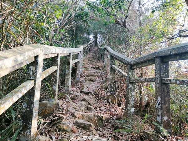 【南投。國姓】步道有些荒涼感。小百岳集起來。 編號47小百岳~九份二山_1372352